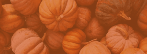 Google Sourcing Challenge - HEADER Pumpkins-1200